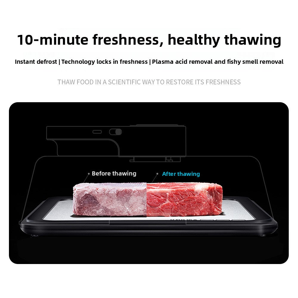 Kayuso Intelligent Constant Temperature Food Defroster